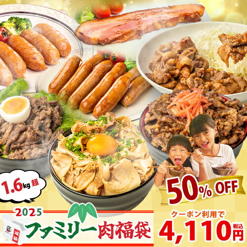 【クーポンで7,480円⇒4,980円＆P5倍★イベント限定】◆ファミリー肉福袋★7種10個入り！約1.6kg【 武田ハム 福袋2024 】 詰め合わせ 大容量 牛肉 豚肉 豚ばら チャーシュー 煮豚 肉 惣菜 フランク ウインナー 訳あり ギフトのサムネイル