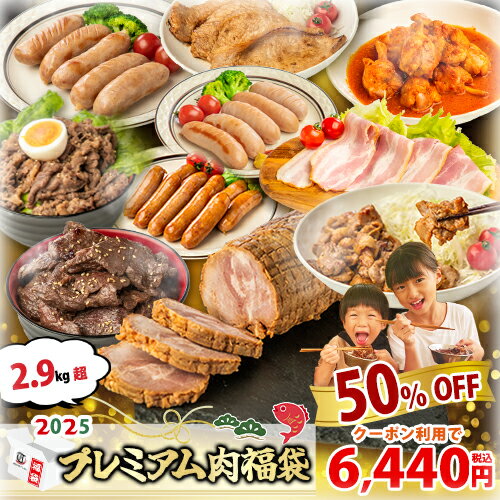 【クーポンで11,930円⇒6,980円＆P5倍★イベント限定】◆プレミアム肉福袋★10種14個入り！約3kg【 武田ハム 福袋2024 】 詰め合わせ 大容量 牛肉 豚肉 豚ばら チャーシュー 煮豚 肉 惣菜 フランク ウインナー 訳あり ギフトのサムネイル