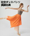 中国舞踊ダンスパンツ女性のゆったりエレガントシフォンスカートパンツ古典パフォーマンス服練習衣装ワイドレッグパンツ3色優雅ワイドパンツ美脚パンツレディースダンス衣装パンツ 長ズボン演出服 練功服 ワイドレッグスカート(4)