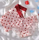 ペア カップル ショーツ メンズ下着 レディース ショーツ M L XL セクシー レース ペアパンツ お揃い ペアルック プレゼント ギフト ブラック夫婦 ペ...