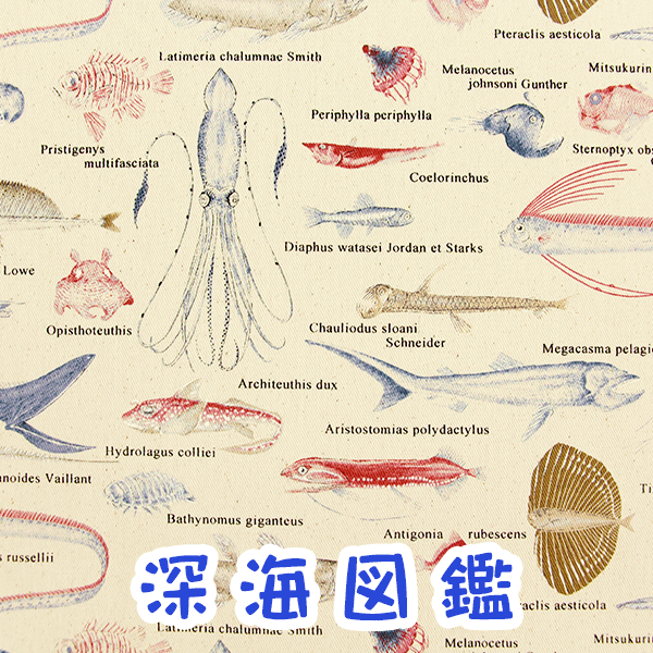 【コットンこばやし】『深海図鑑』生成り（カス残し）コットンツイルプリント生地/布/魚/お魚/おさかな/鮮魚/深海魚/水族館/こばやし/コットンこばやし/入園入学/ツイル/のサムネイル