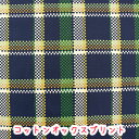 【在庫限り】Checks＆Borders『マルチ