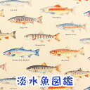 『淡水魚図鑑』 生成り（カス残し）コットンツイルプリント生地/布/魚/お魚/おさかな/淡水魚/トラウト/ニジマス/こばやし/コットンこばやし/入園入学/ツイル/