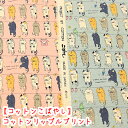 【コットンこばやし】『ねこの洗濯干し』コットンポプリン(リップル加工)生地/リップル/サッカー/コットンこばやし/洗濯ネコ/洗濯猫/甚平/浴衣/夏生地/