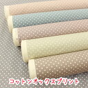 『くすみドット』コットン100%オックスプリント生地/布/ドット/水玉/ドット柄/くすみカラー/ニュアンスカラー/ニュアンス/