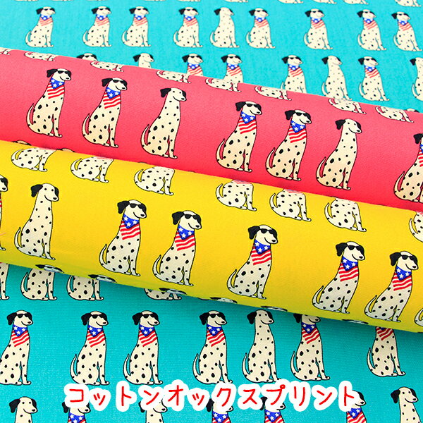 �إ���ե����᥷����٥��åȥ󥪥å����ץ���/����/����᥷����/����/���󥰥饹/��/