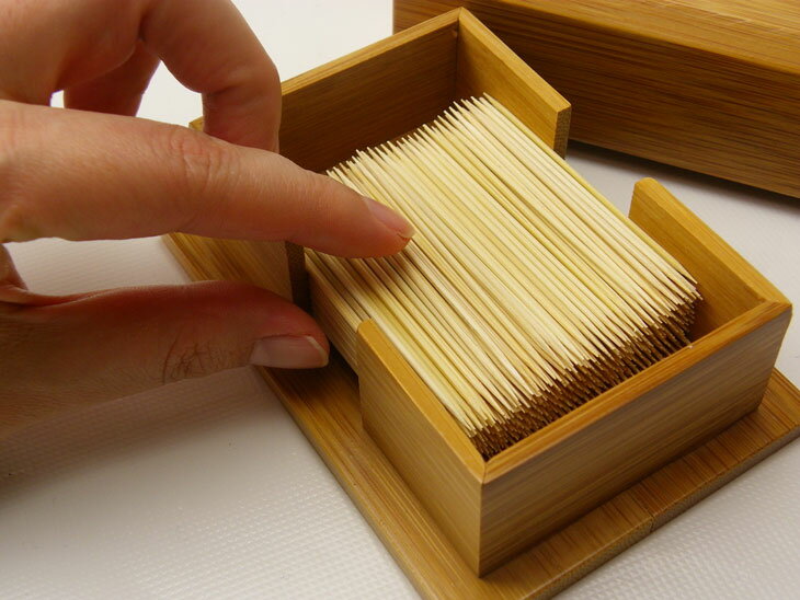 つまようじ入れ 職人手作り 極細竹ようじ1パックおまけ 約370本入り プレゼント 竹製 国産 日本製