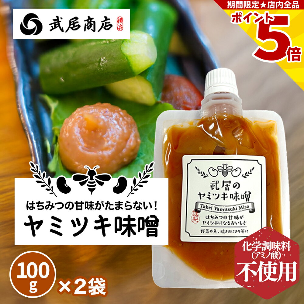 万能みそだれ ヤミツキ味噌 100gx2袋 アミノ酸不使用 生味噌 つけて美味しい 武居商店 プロ御用達 テレビで紹介