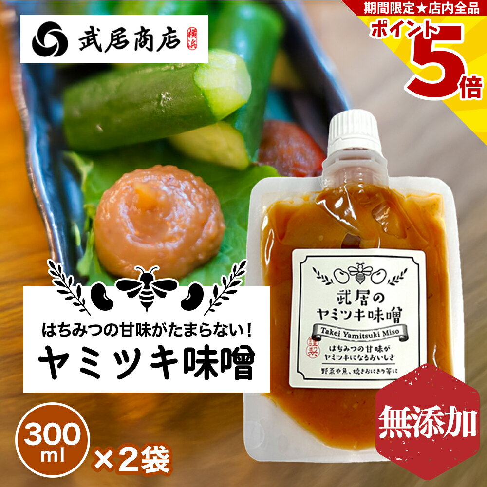 万能みそだれ ヤミツキ味噌 100gx2袋 アミノ酸不使用 生味噌 つけて美味しい 武居商店 プロ御用達 テレ..