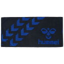 スポーツ&新入学&新生活を応援♪hummel/ヒュンメル バスタオルHAA5020-9063