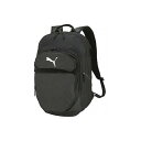 アスリートに人気の大容量バックパック♪PUMA/プーマ TEAMFINALバックパック35L079266-01