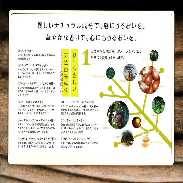 花精 森のおくりもの ヘアエッセンス 100g 洗い流さないトリートメント プロ用美容...