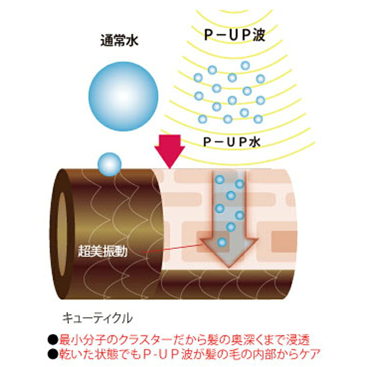 【期間限定20%OFF】P-UP テラヘルツドライヤー エクステラ トリートメントドライヤ...
