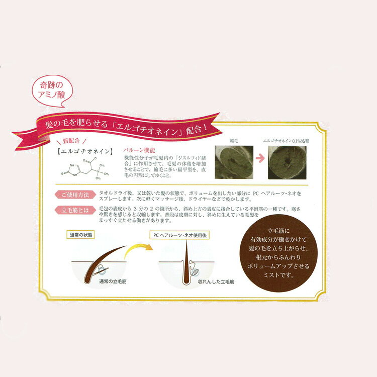 コスメジャングルのPCヘアルーツ NEO ネオ 1000mL 詰め替え用 業務用 ボリュームアップ ヘアミスト ふんわり 自然 ヘアスタイリングミスト 無着色 無鉱物油 ノンシリコン ローズの香り プロキャリア｜アングル2