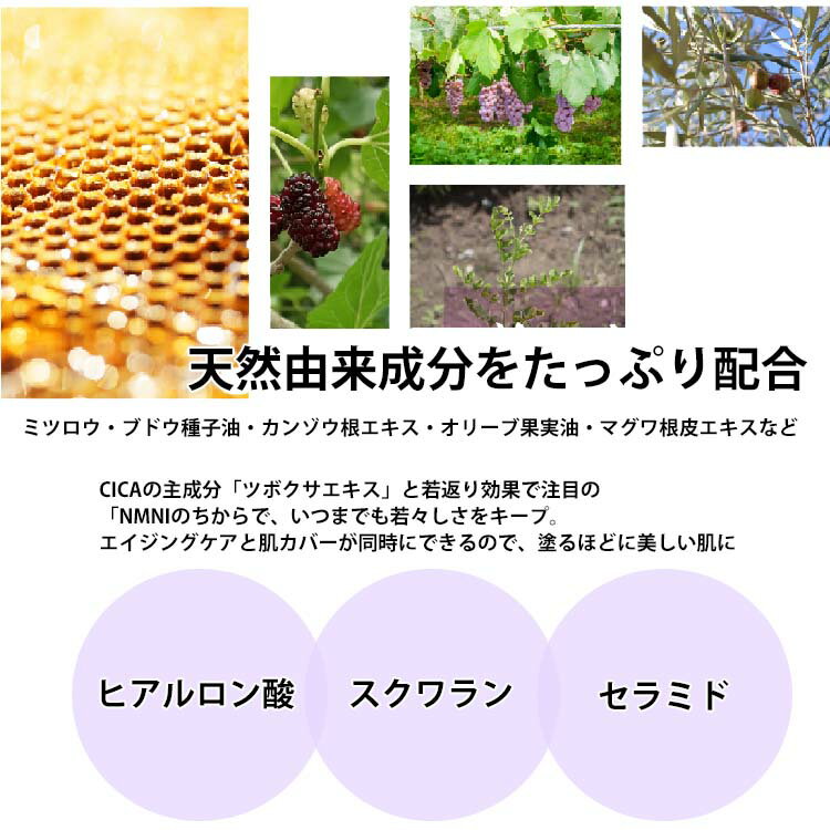 CICA��NMN �ץ�ߥ���BB���꡼�� 20g ���� Premium BB Cream �ĥܥ��������� ���� ̵���� ̵�忧 ŷ���ݼ���ʬ CICA cica NMN ���Ʊ� ���Ѳ��� ���Ƥ��ߤ� �ե���ǡ������ ���󥷡��顼 �ѥ�����