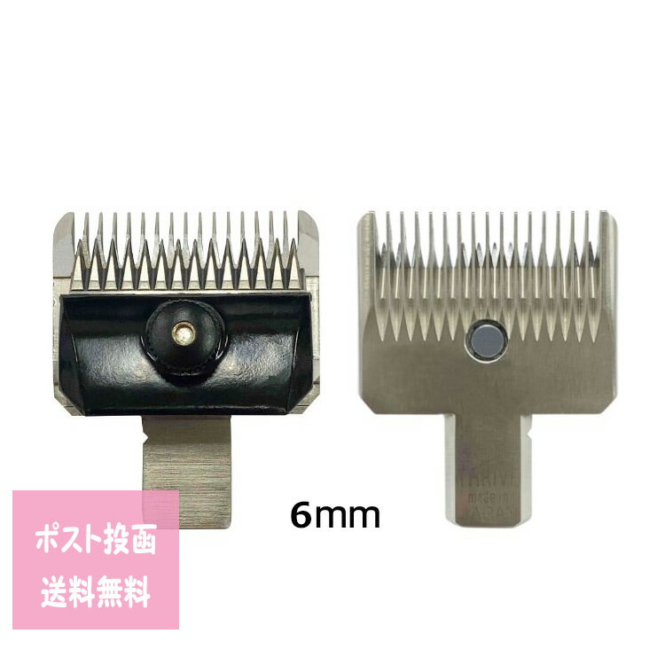 スライヴ 5500 AD用替刃 1 2 3共用 6mmスライブ ペット トリマー プロ用美容室専門店 ペット用品 ペットグッズ