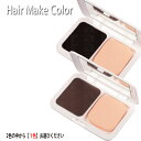 ポスト投函送料無料 ニューフラワー ヘアメイクカラー 13g 白髪隠しファンデーション 全2色/種類選択あり サロン専売品 サロンプロ プロ用美容室専門店 プレ...