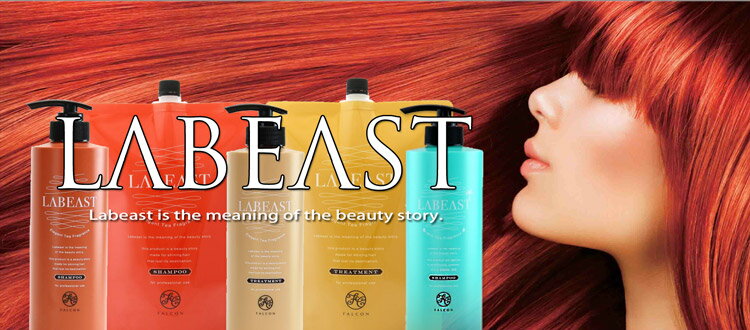 ラビースト クールドゥ シャンプー550ml &トリートメントコンディショナー550g SET LABEAST ダメージヘア/痛んだ髪/ラビューティー プロ用美容室専門店 新生活 一人暮らし 準備 プレゼント用 帰省 お土産 サロンシャンプー サロン専売品 2