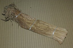 国産天然竹皮　100枚　51センチ長さ10センチ幅　中華ちまき 令和5年産