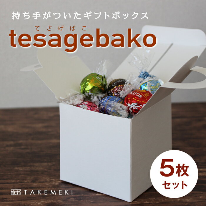 【TAKEMEKI】手提げ 箱 5枚セット ( 白 ホワイト ) 組み立て 簡単 手作り小分け ラッピング ハロウィン クリスマス バレンタイン ホワイトデー ギフトボックス 幼稚園 小学生 イベント プレゼント ギフト 贈り物 工作 図工 キット インテリア 小物入れ 収納 ケース 手さげ