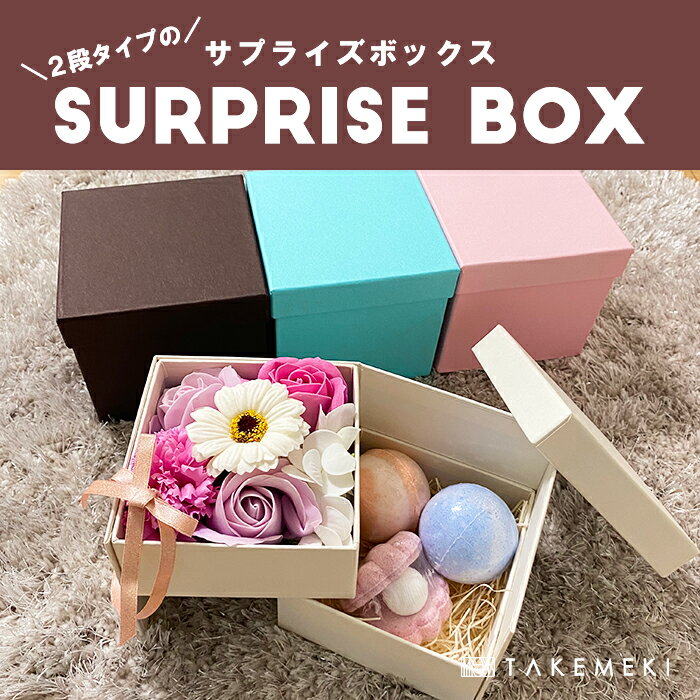 【TAKEMEKI】 サプライズ ボックス (9.5×9.5