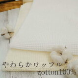 餫åե cotton100%    åȥ ̵   ƥꥢ1