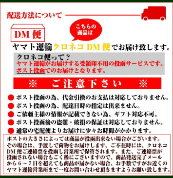 新商品/送料無料/種子島産安納芋使用/蜜いもグラッセ　1袋100g入り