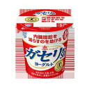 送料無料/ヨーグルト/恵 megumi ガセリ菌SP株ヨーグ...
