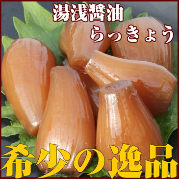 らっきょう/鳥取県産湯浅醤油らっきょう350g/送料無料
