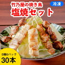 竹乃屋の焼き鳥【塩セット】A（30本:5種入り×6パック）