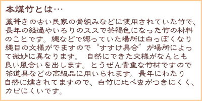 本煤竹とは