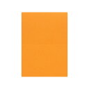 竹尾 PAPER PALETTE A5カード タント N-56 (オレンジ) 筋押し 角丸 210×150mm 100枚 | TAKEO PAPER PRODUCTS ペーパーパレット |