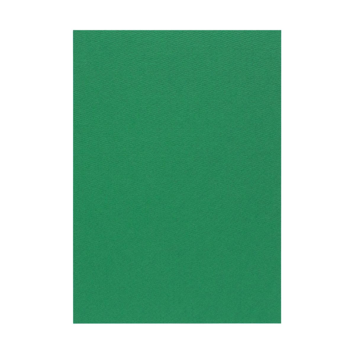 竹尾 PAPER PALETTE B5便箋 マーメイド 緑 257×182mm 100枚 | TAKEO PAPER PRODUCTS ペーパーパレット ..