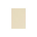 竹尾 PAPER PALETTE ポストカード パルパー ナチュラル はがき 150×105mm 100枚 | TAKEO PAPER PRODUCTS ペーパーパレット | ベージュ