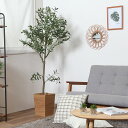 【送料無料】フェイクグリーン オリーブ 150cm ジョイント 観葉植物 フェイク 人工観葉植物 造花 インテリア リアル お祝い 樹 木 室内 人気 空気清浄 玄関 リビング オフィス 部屋 シンプル 観葉樹(4)