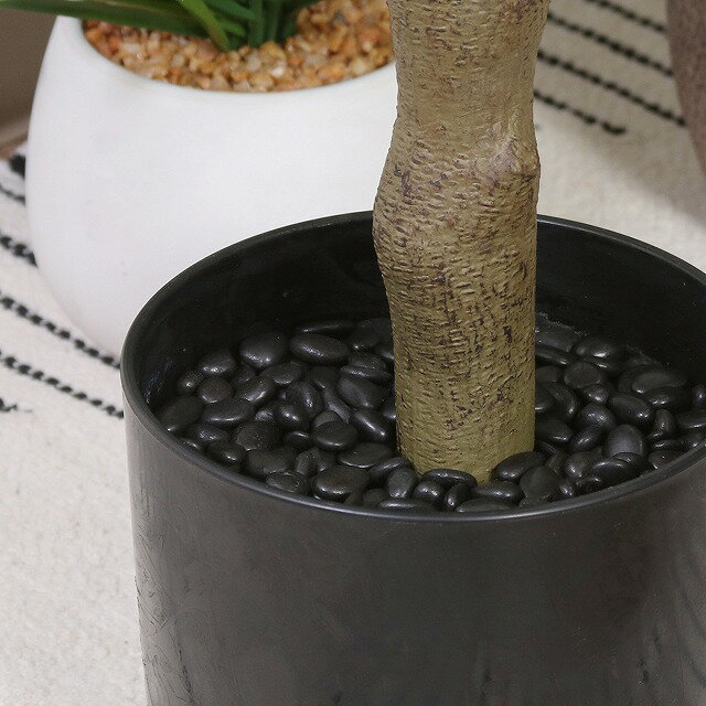 ������̵���ۥե��������꡼�� ���꡼�� 160cm ���祤��� ���տ�ʪ �ե����� �͹����տ�ʪ ¤�� ����ƥꥢ �ꥢ�� ���ˤ� �� �� ���� �͵� �������� ���� ��ӥ� ���ե��� ���� ����ץ� ���ռ�