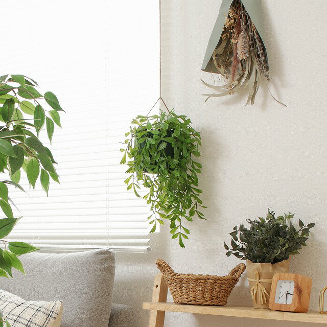 ������̵���ۥե��������꡼�� �ե��������꡼�� �����㥯�䥷 �ϥ󥮥� ���տ�ʪ �ե����� �͹����տ�ʪ ¤�� ����ƥꥢ �ꥢ�� ���ˤ� �� �� ���� �͵� �������� ���� ��ӥ� ���ե��� ���� ����ץ� ���ռ�