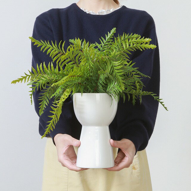 【送料無料】フェイクグリーン シダ セラミックポット 観葉植物 フェイク 人工観葉植物 造花 インテリア リアル お祝い 樹 木 室内 人気 空気清浄 玄関 リビング オフィス 部屋 シンプル 観葉樹