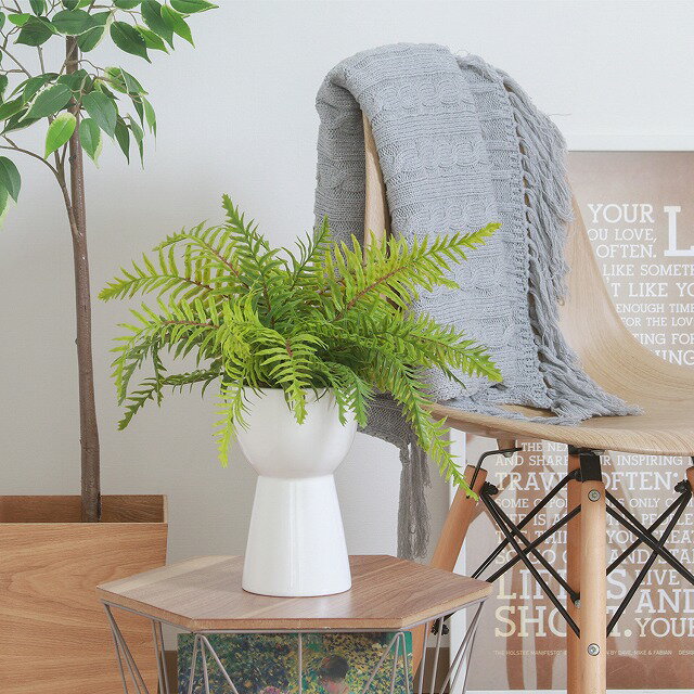 ������̵���ۥե��������꡼�� ���� ����ߥå��ݥå� ���տ�ʪ �ե����� �͹����տ�ʪ ¤�� ����ƥꥢ �ꥢ�� ���ˤ� �� �� ���� �͵� �������� ���� ��ӥ� ���ե��� ���� ����ץ� ���ռ�