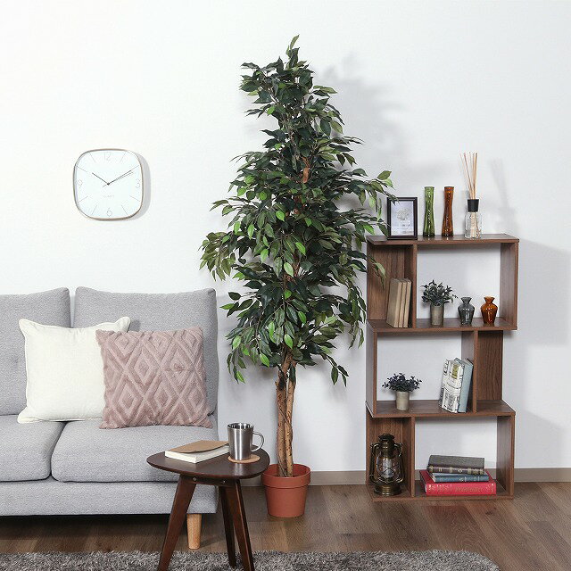Rakuten - 【半額クーポン有】【送料無料】フェイクグリーン 観葉植物 フィカス 170cm 観葉植物 フェイク 人工観葉植物 造花 インテリア リアル お祝い 樹 木 室内 人気 空気清浄 玄関 リビング オフィス 部屋 シンプル 観葉樹