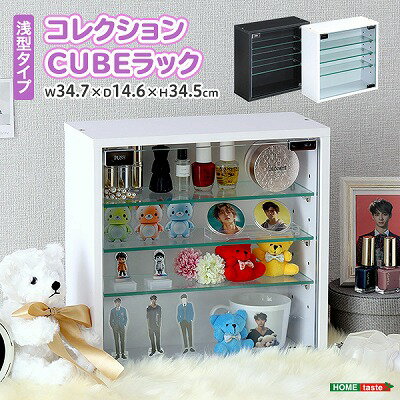 【送料無料】【日時指定不可商品】コレクションキューブラック 浅型タイプ 浅型 ホームテイスト コレク..