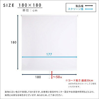 【送料無料】【日時指定不可商品】スクリーン ロールスクリーン 間仕切り ブライン...