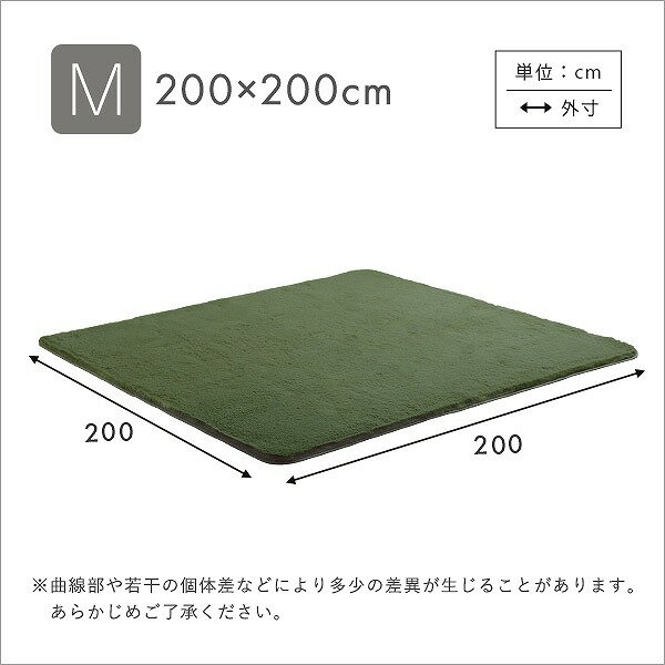 【送料無料】【日時指定不可商品】ラグ 厚手 ラ...の紹介画像2