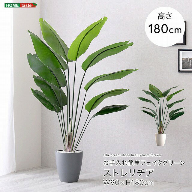 【送料無料】【日時指定不可商品】人工観葉植物 ストレリチア　Lサイズ(180cm) フェイクグリーン 観葉植物 鉢付 おしゃれ リアル グリーン お手入れ簡単フェイク おしゃれ 偽物 造花 インテリア ダミー リビング オフィスお手入れ簡単