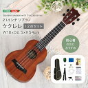 【送料無料】【日時指定不可商品】ウクレレ 初心者 セット 初級 中級 ケース付き 21インチ チューナー ピック コンサート コンパクト 趣味 プレゼント 母の...