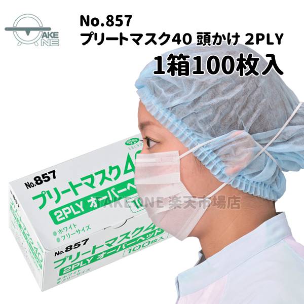 不織布マスク 使い捨てマスク 2層構造 エブノ プリートマスク40 2PLY オーバーヘッドタイプ ホワイト 1箱 100枚入 薄手マスク 飛沫防止 857