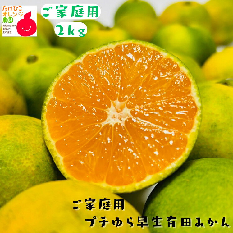 ≪出荷中≫有田みかん(小玉 極早生) ちっちゃい　プチ ゆら早生 有田 みかん ( ご家庭用 粗選別 ) 2kg +200g(傷み補償分)_ わけあり 訳あり フルーツ 果物 送料無料 ミカン くだもの 産地直送 温州みかん 和歌山県産 有田 自宅用 不揃い 小玉果 3s 4s