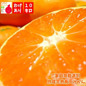 【数量限定】ご家庭用 粗選別 外成 完熟 有田みかん 10kg 【送料無料】【訳あり】【わけあり】