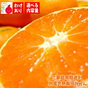 【エントリーでポイント10倍】【予約】ご家庭用 粗選別 外成 完熟 有田みかん 1.5kg~10kgまでお好みの内容量が選択可能_ わけあり 訳あり フルーツ 果物 送料無料 ミカン くだもの 産地直送 温州みかん 美味しい 和歌山 和歌山県 有田 自宅用 不揃い