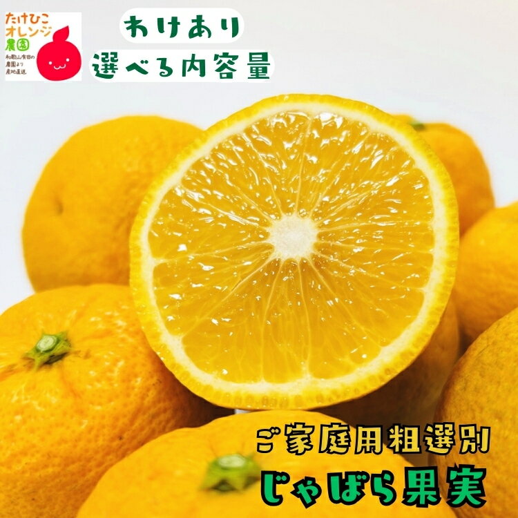 ご家庭用 粗選別 じゃばら 果実 2kg～10kgまでお好みの内容量が選択可能_ フルーツ 果物 送料無料 ミカン みかん くだもの 産地直送 和歌山県 有田 訳あり ジャバラ 邪払